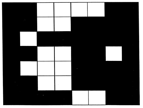 Grid of black
      and white squares