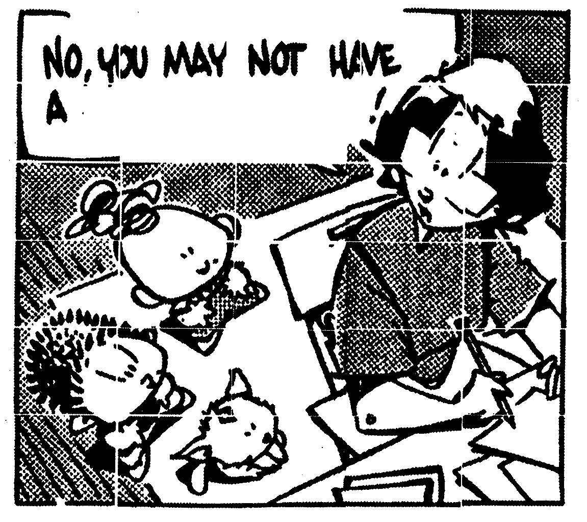 Comic strip frame: "No, You may not have a _____!"